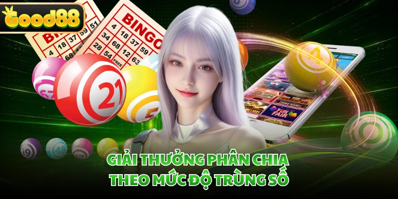 Giải thưởng phân chia theo mức độ trùng số