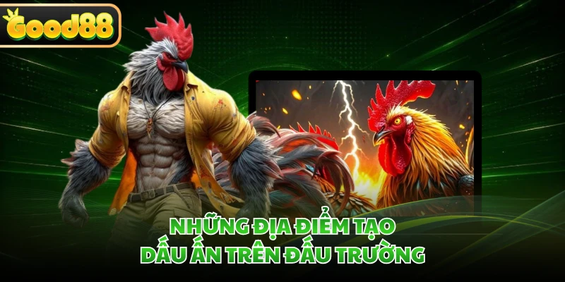 Những địa điểm tạo dấu ấn trên đấu trường