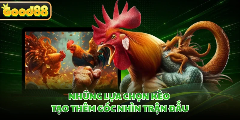Những lựa chọn kèo tạo thêm góc nhìn trận đấu