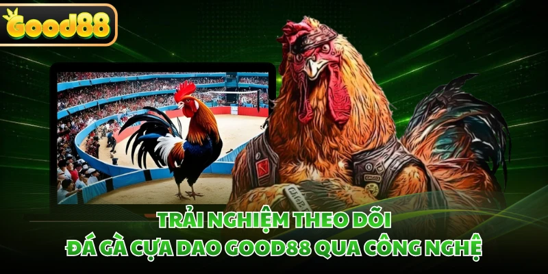 Trải nghiệm theo dõi đá gà cựa dao GOOD88 qua công nghệ